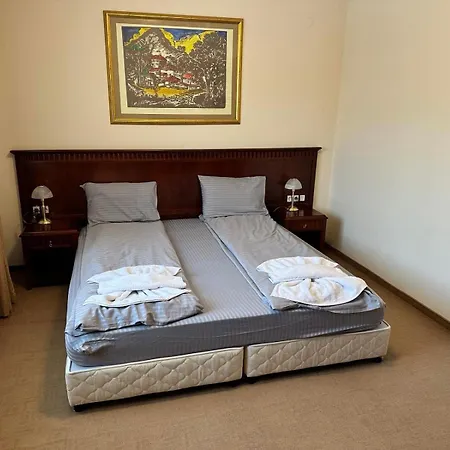 Downtown Luxury Private * Banszko